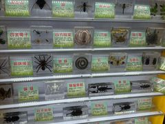 -藁城北服务区-停车场