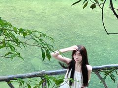 -龙湾潭国家森林公园