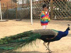 -萌宠亲子动物乐园(槐房万达店)