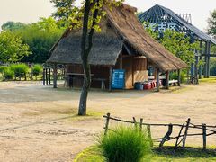 -良渚古城遗址公园