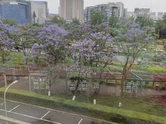 -宜家家居(高新商场店)