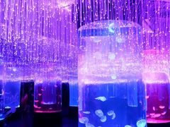 -哈尔滨波塞冬海底世界