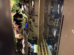 -领鲜天下·焗海鲜·花胶鸡(天目里店)