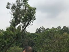 -广州雕塑公园