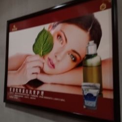 -星港国际·Skin皮肤专研·皮肤管理