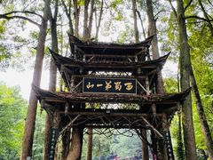 -青城山