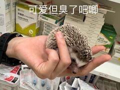 -悦宠动物医院(京丰分院)
