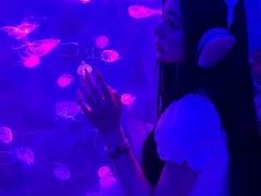 -太平洋海底世界