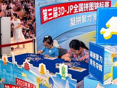 -3D -JP拼图(深圳中心书城店)