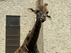 -石家庄市动物园