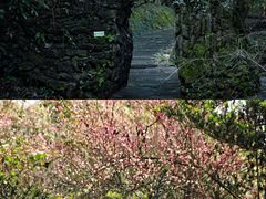 -常德桃花源景区