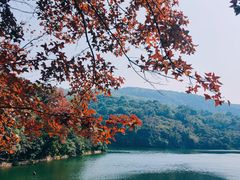 -广州市白云山风景名胜区