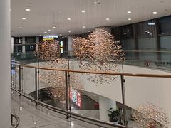 -青岛胶东国际机场