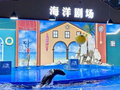 -重庆欢乐海底世界