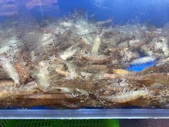 -船梆煮•蒸汽海鲜·生腌干蒸(五四广场店)