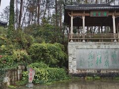 -千岛湖东南湖区