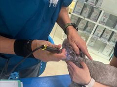 -瑞派申生动物医院·24H夜诊·国际动物医疗中心·骨外科(吴中路店)