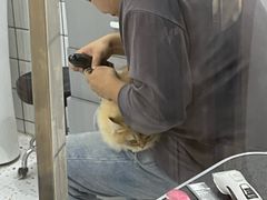 -BABIT巴比特宠物(MOMOPARK店)