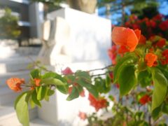 -巴厘岛乌鲁瓦图安纳塔拉度假酒店