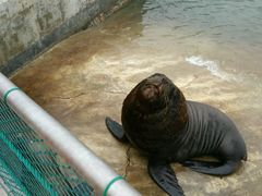 -海驴岛(荣成市)