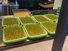 -大渔小鲜火锅店
