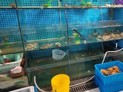 -杨记海鲜楼(三门黑金冠店)
