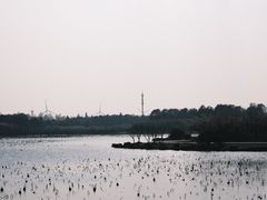 -上海海湾国家森林公园