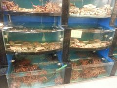 -莆鑫海鲜城(浏河店)