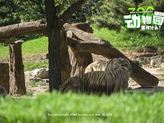 -北京野生动物园