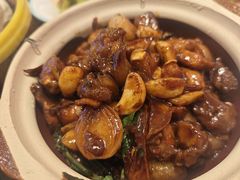 -玉兰苑一等茶餐厅