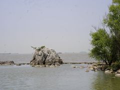 -上海吴淞炮台湾国家湿地公园