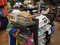 -班达拉奈克国际机场