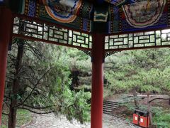 -云岗森林公园