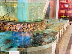 水产区-福满园大酒楼(梅林店)