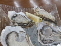 冰镇生蚝-蚝得喜海鲜(东城店)