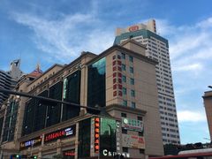 -深圳维景酒店-维景轩