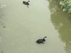 -北京麋鹿生态实验中心