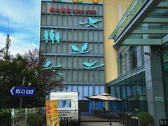 -新光酒家·河豚·海鲜·蟹料理(浦东店)