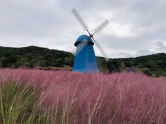 -东海半边山旅游度假区
