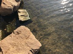 -丁香湖公园