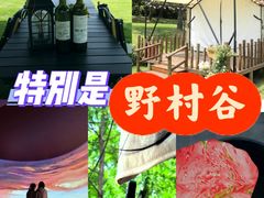 -黄陂区野村谷景区