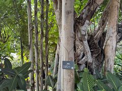 -北京植物园-展览温室