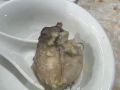 -石岐乳鸽村(南海第三分店)