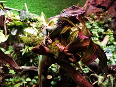 -上海海洋水族馆