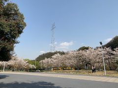 -幕燕滨江·燕子矶公园