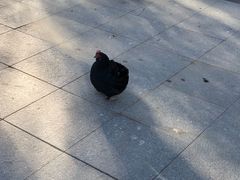 -鄂尔多斯野生动物园