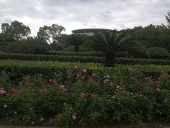 -杭州城北体育公园