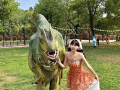 -中国西峡恐龙遗迹园