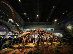 -自贡恐龙博物馆