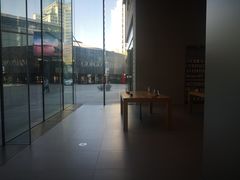 -Apple零售店(华贸购物中心店)
